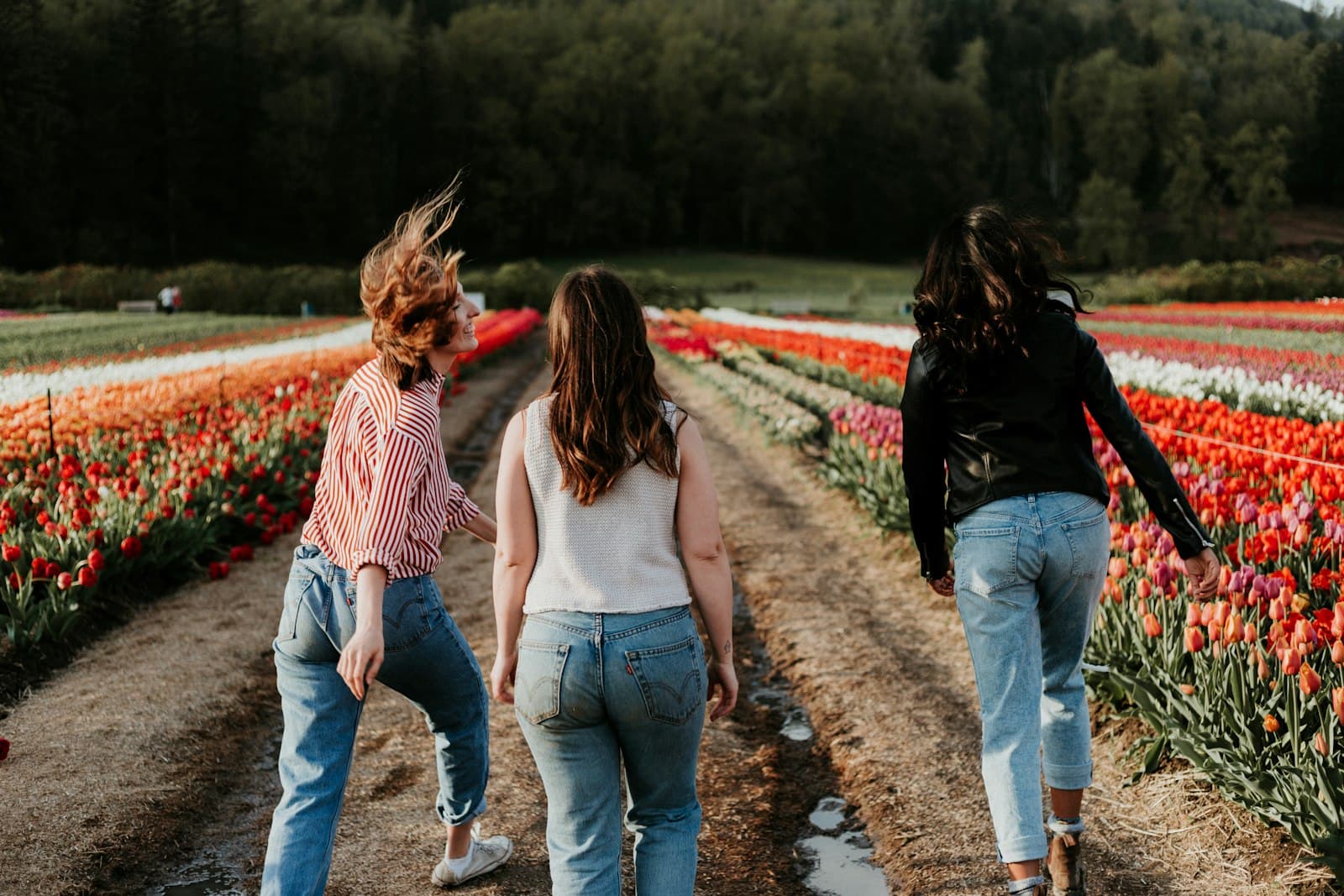 Activité physique et ostéoporose : renforcer ses os après 50 ans